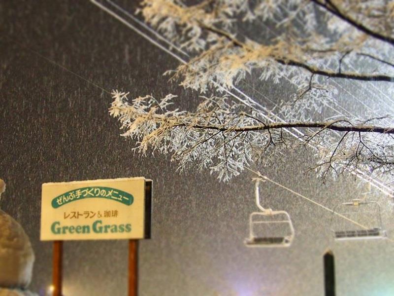 Pension & Restaurant Green Grass Hakuba Buitenkant foto